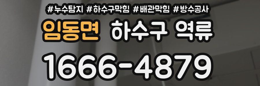 임동면 하수구 역류