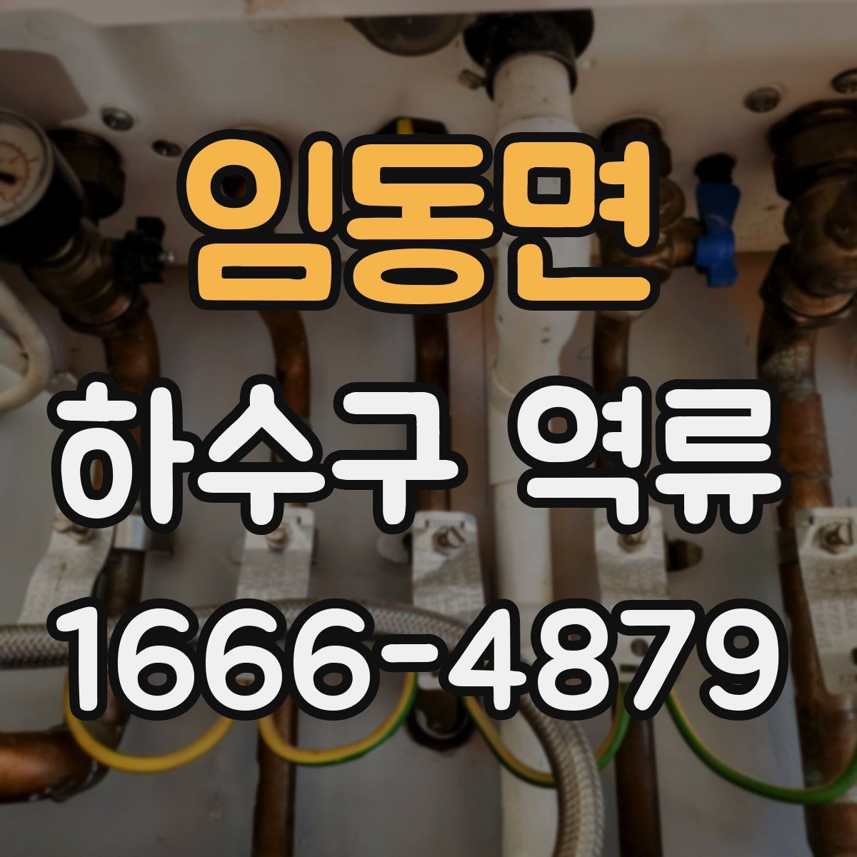 임동면 하수구 역류