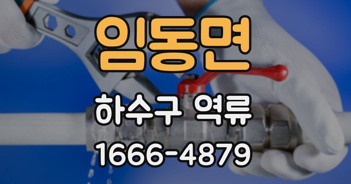 임동면 하수구 역류