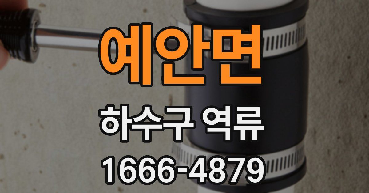 예안면 하수구 역류
