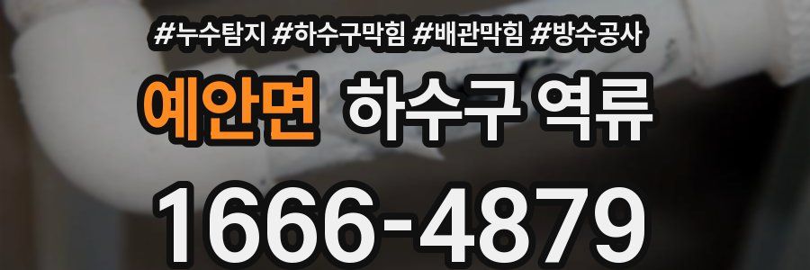 예안면 하수구 역류