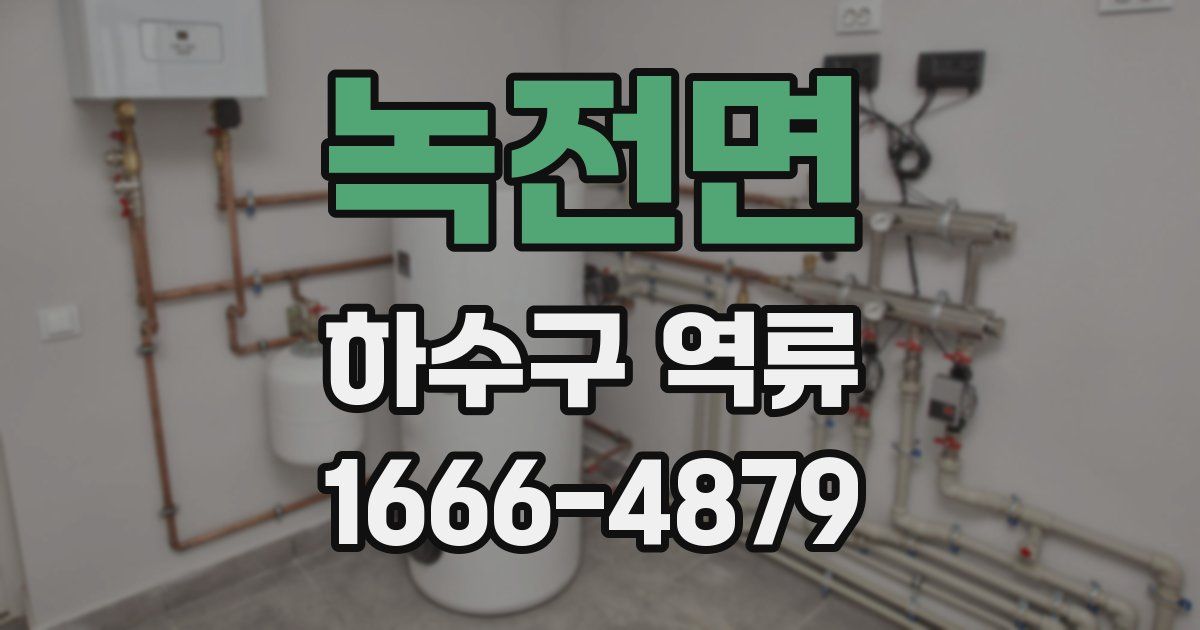 녹전면 하수구 역류