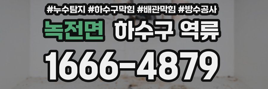 녹전면 하수구 역류