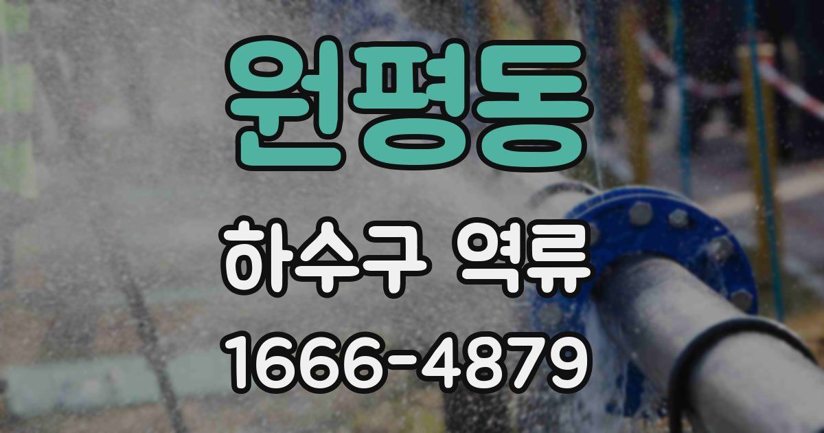 원평동 하수구 역류