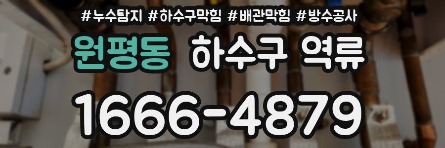 원평동 하수구 역류