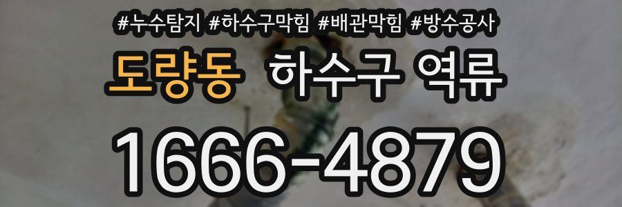 도량동 하수구 역류