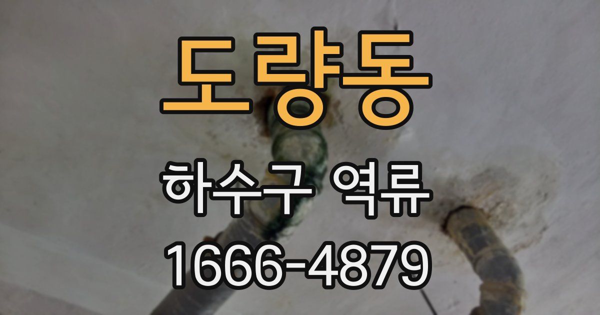 도량동 하수구 역류