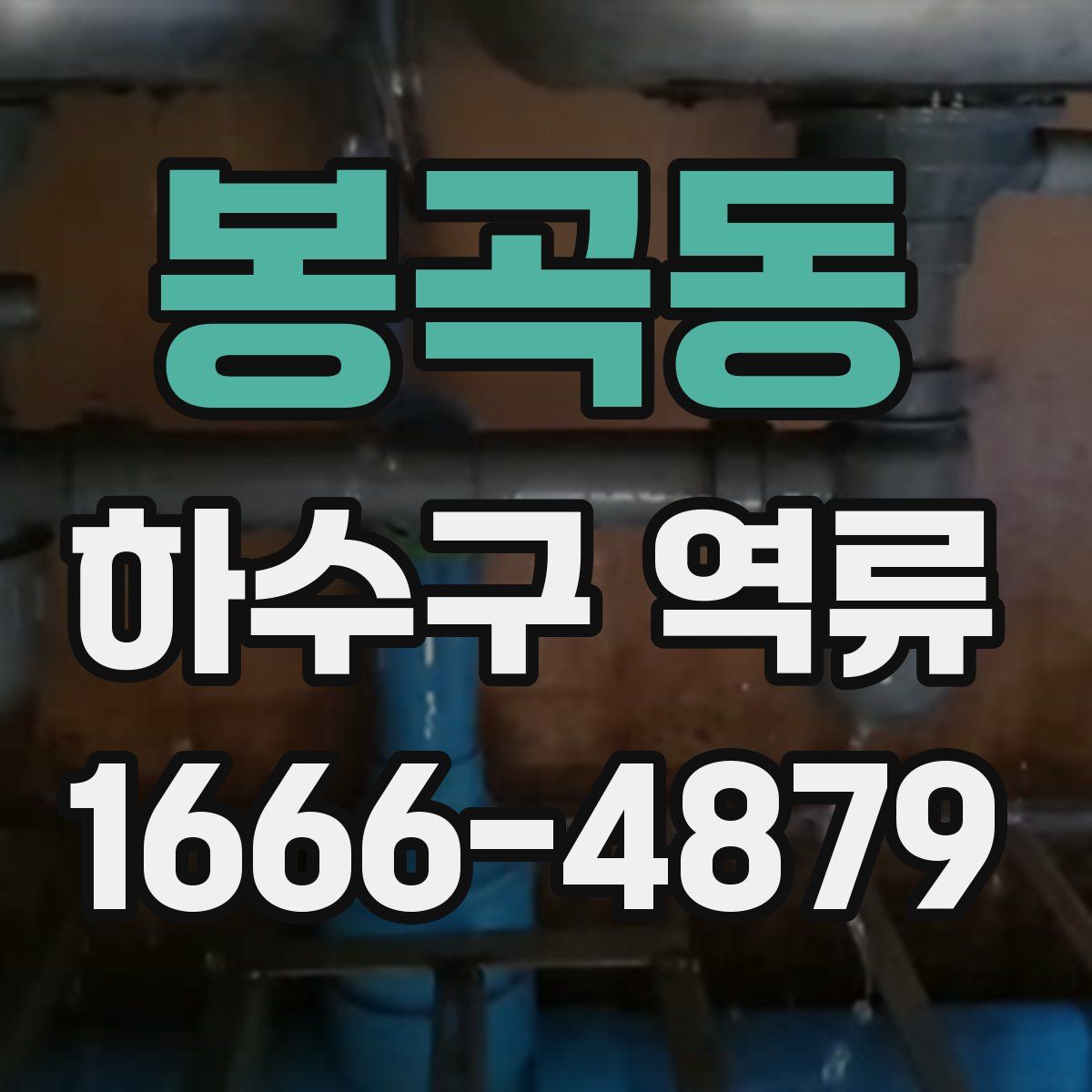 봉곡동 하수구 역류