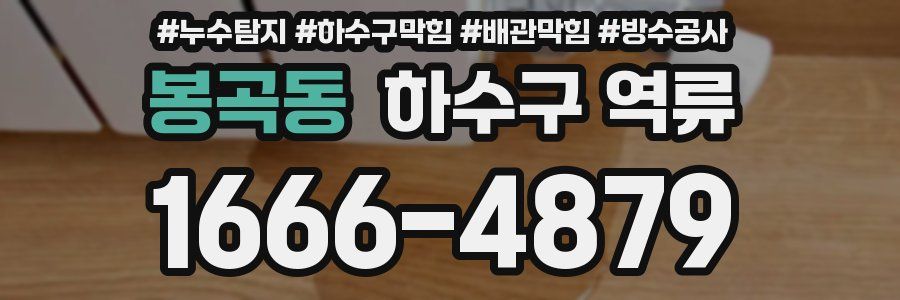 봉곡동 하수구 역류