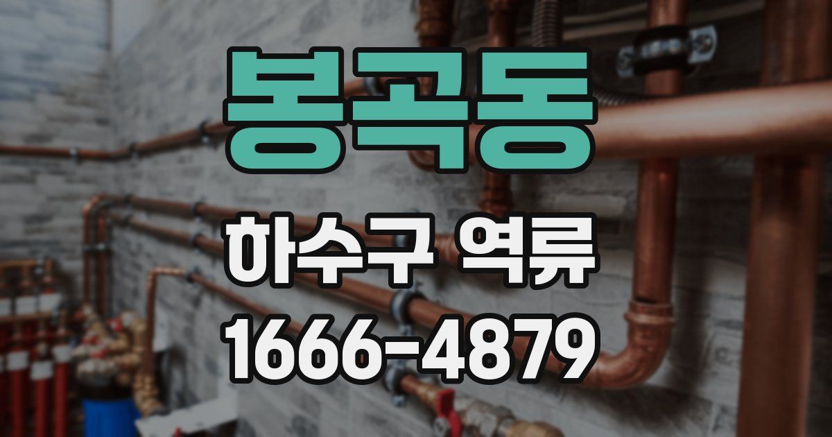 봉곡동 하수구 역류