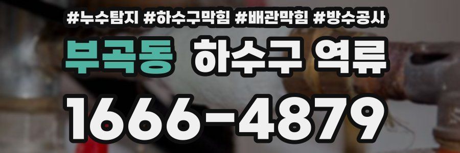 부곡동 하수구 역류
