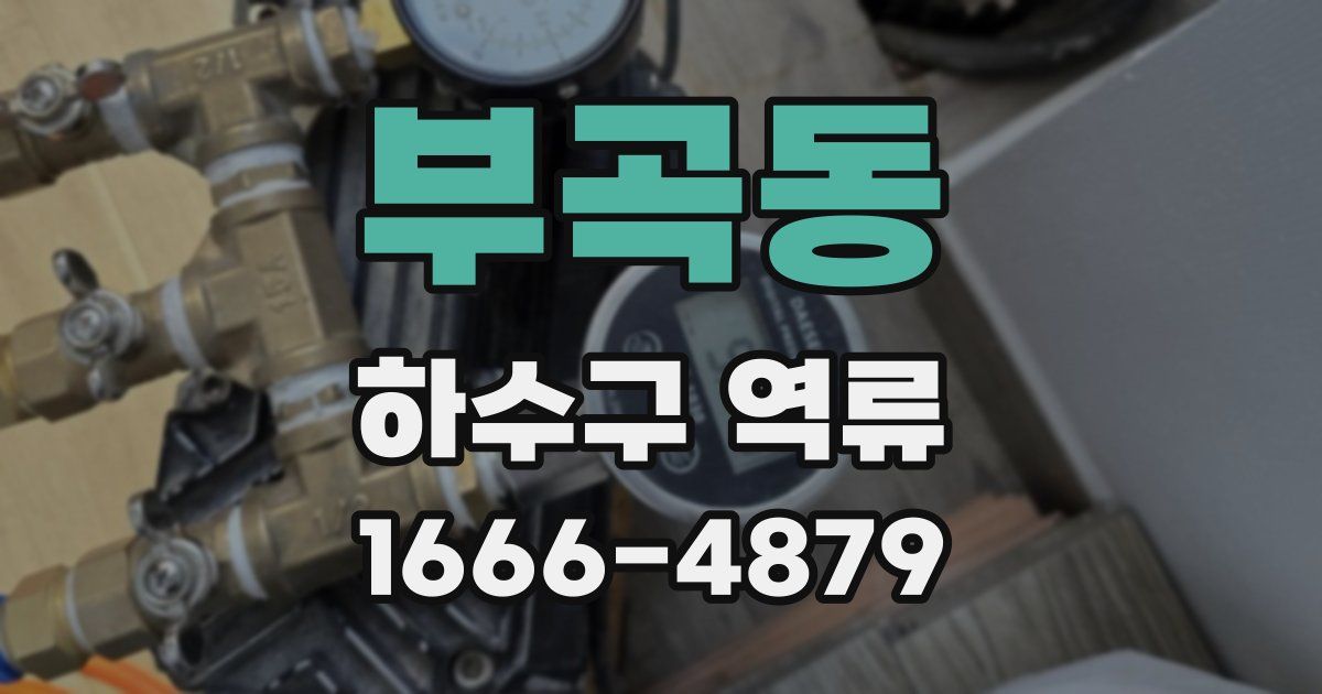 부곡동 하수구 역류