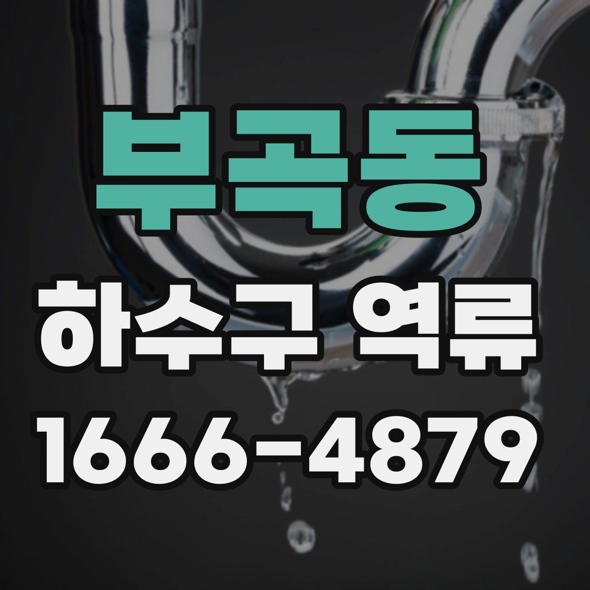 부곡동 하수구 역류