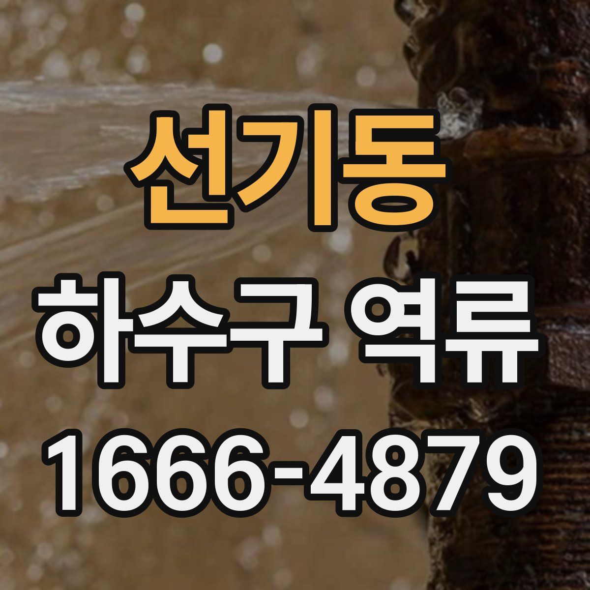 선기동 하수구 역류