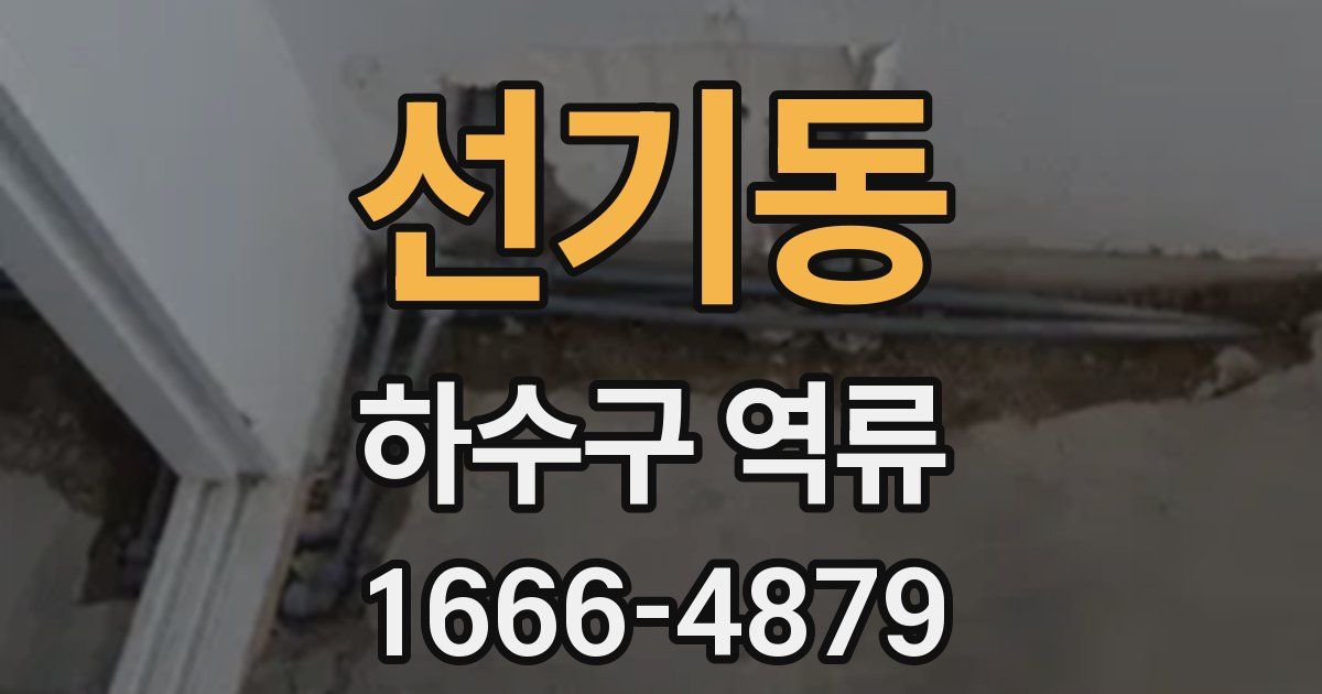 선기동 하수구 역류