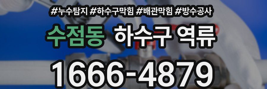 수점동 하수구 역류