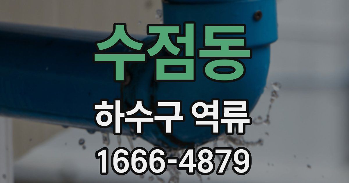 수점동 하수구 역류