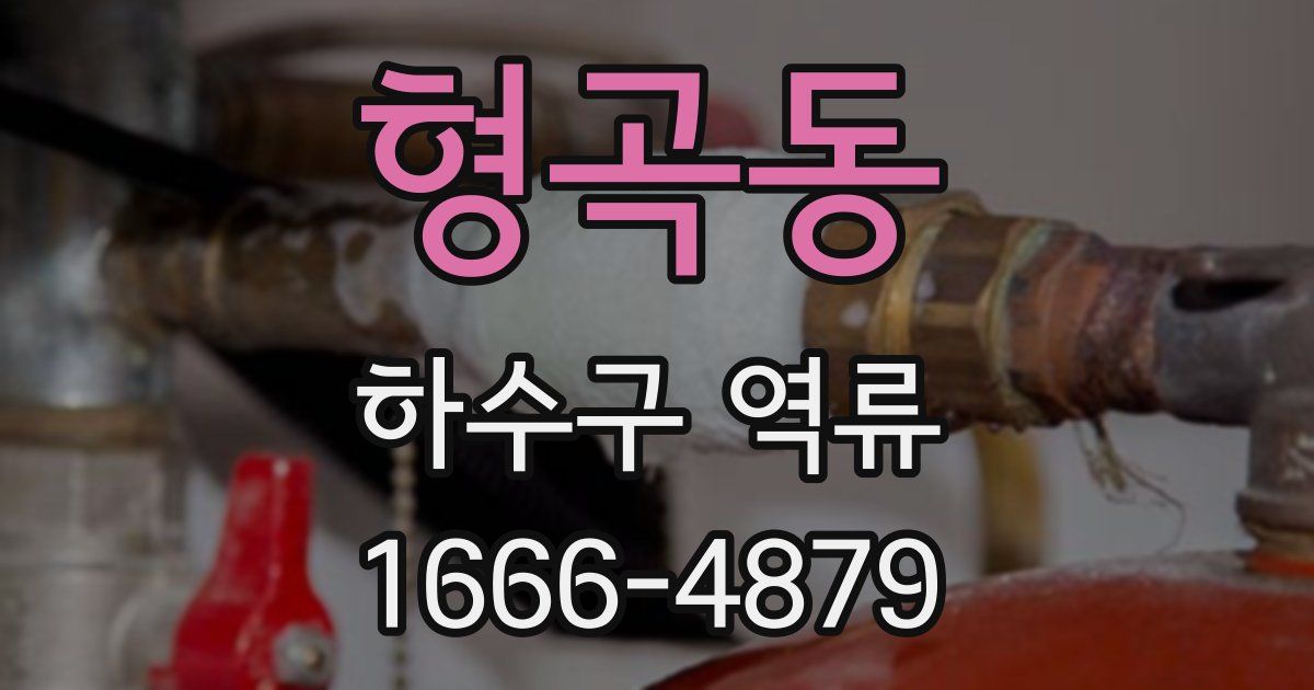 형곡동 하수구 역류