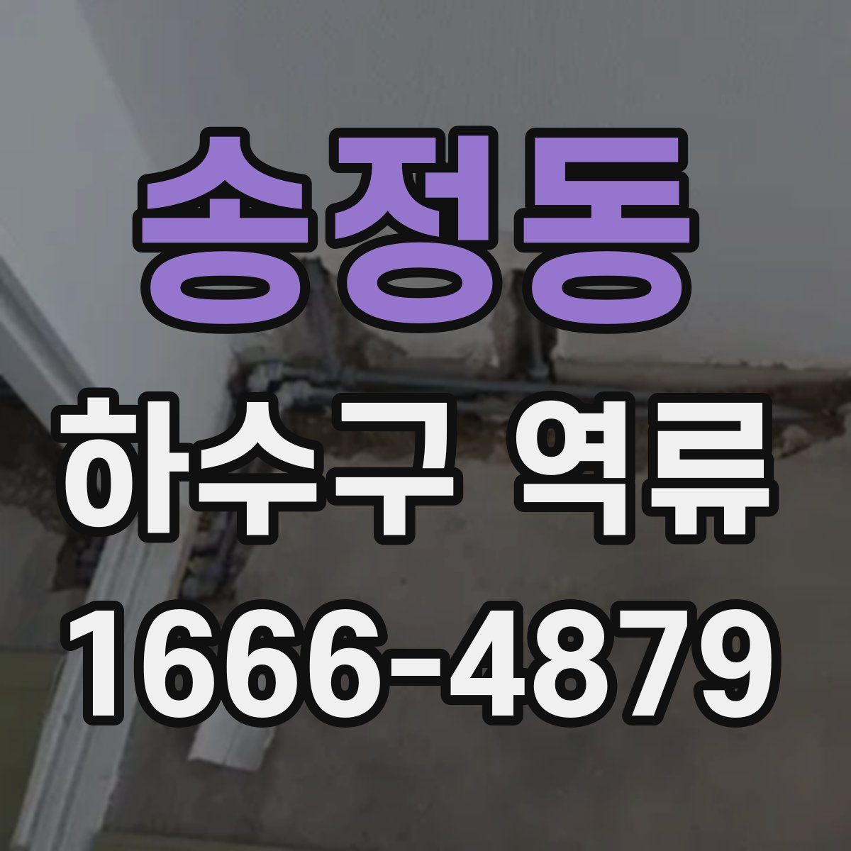 송정동 하수구 역류