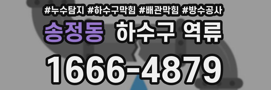송정동 하수구 역류
