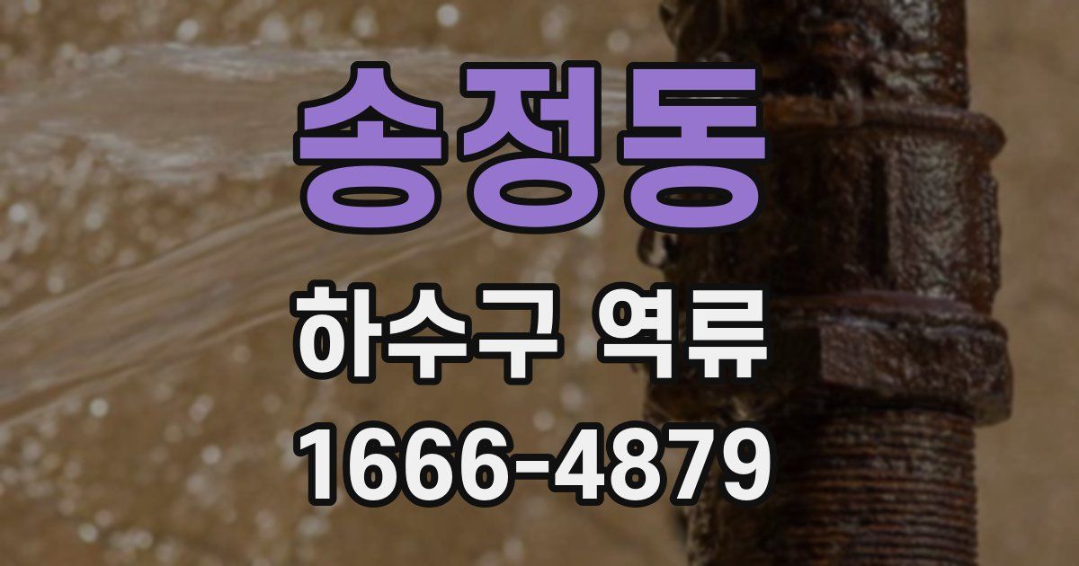 송정동 하수구 역류