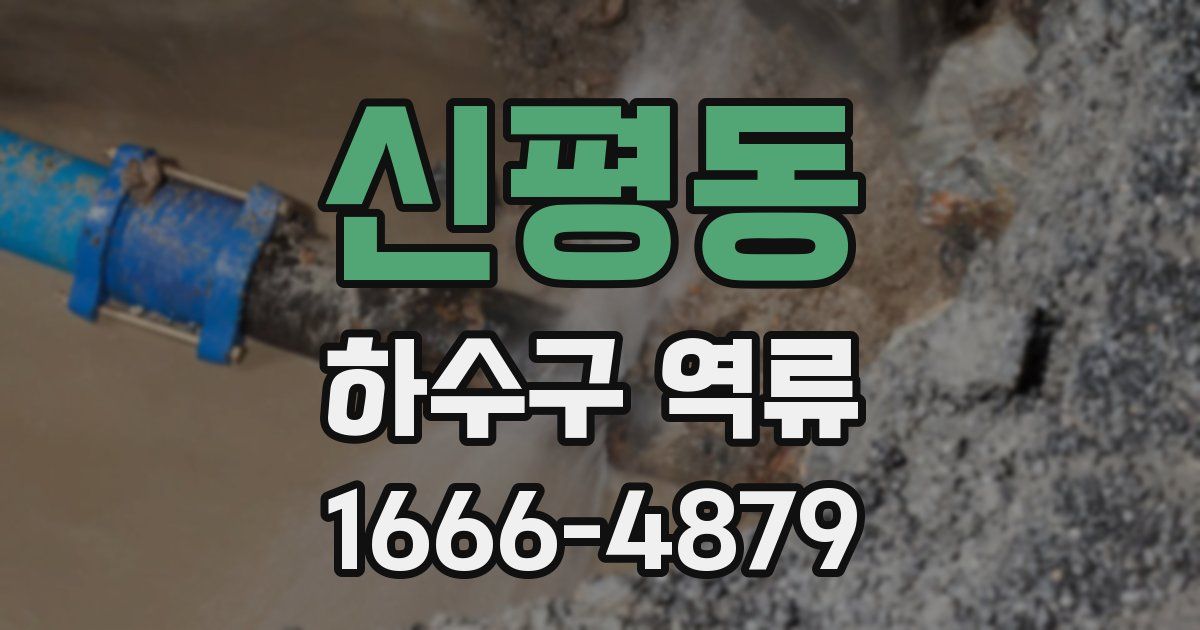 신평동 하수구 역류