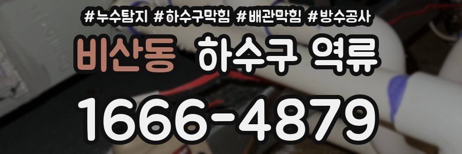비산동 하수구 역류