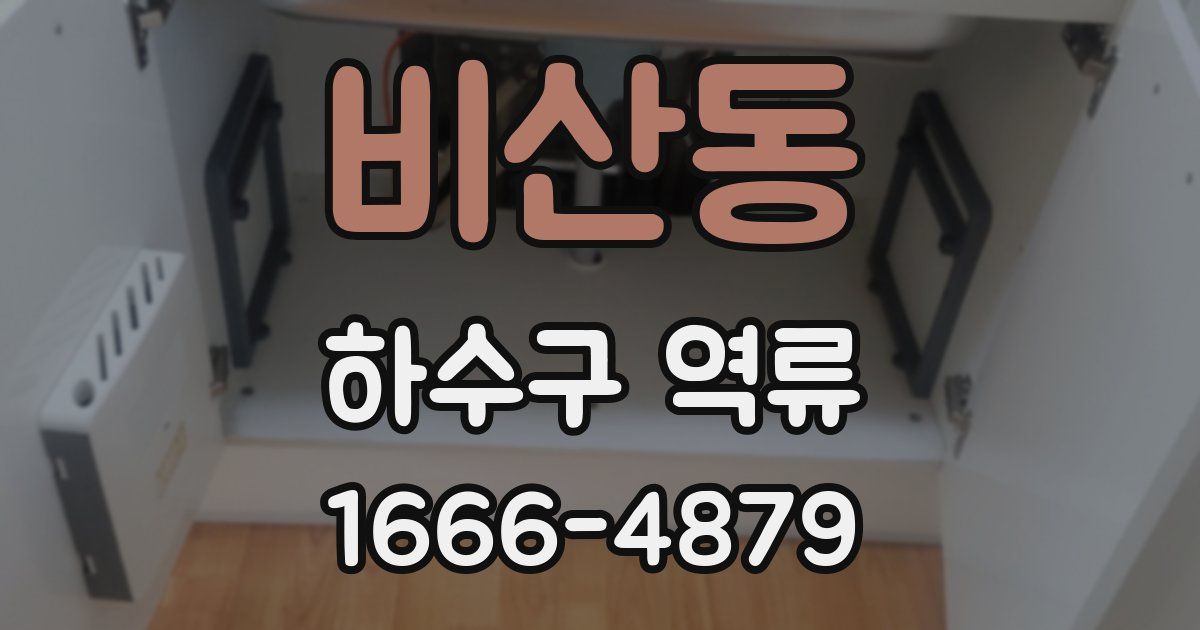 비산동 하수구 역류