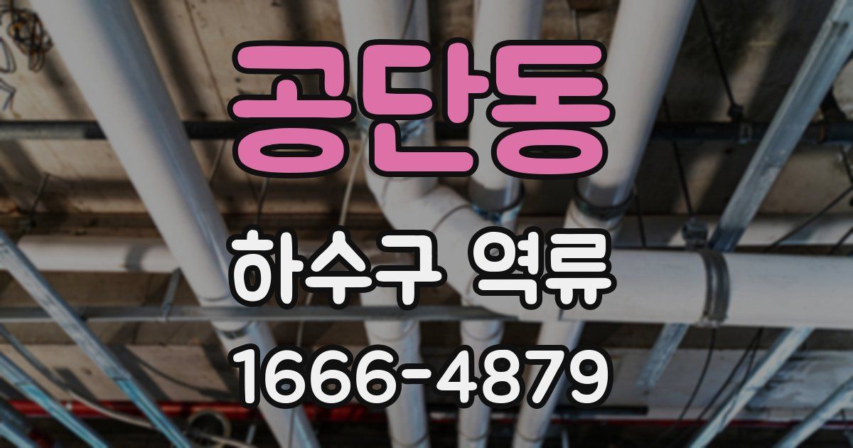 공단동 하수구 역류