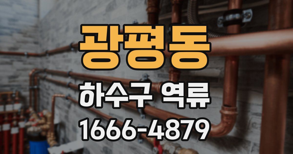 광평동 하수구 역류