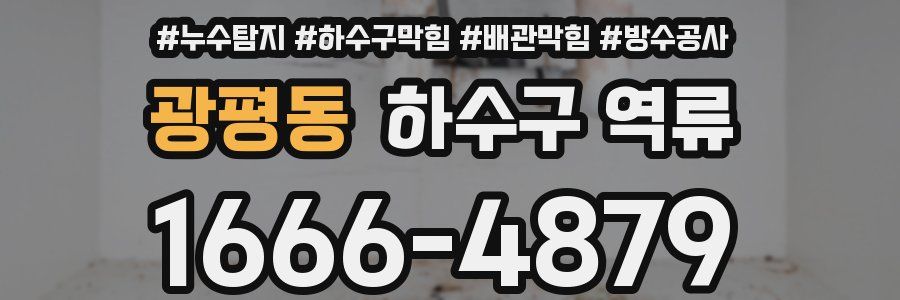 광평동 하수구 역류