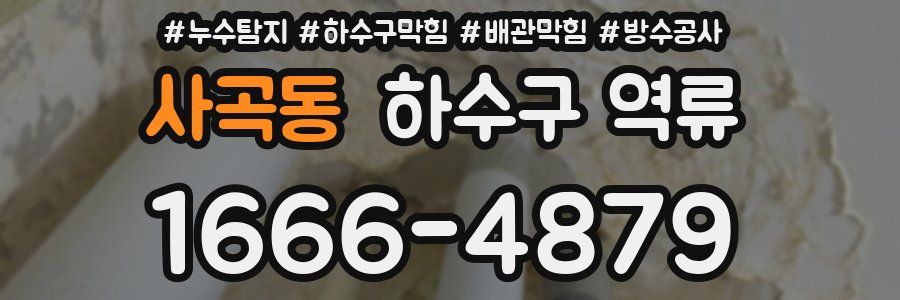 사곡동 하수구 역류