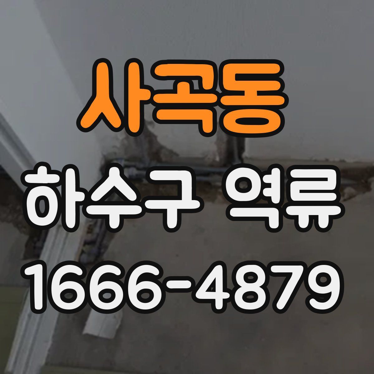 사곡동 하수구 역류