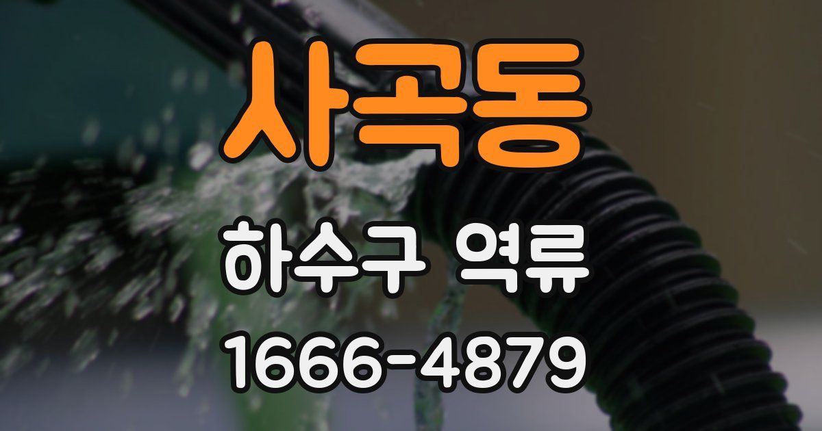 사곡동 하수구 역류
