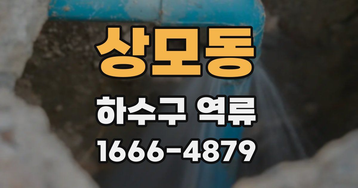 상모동 하수구 역류