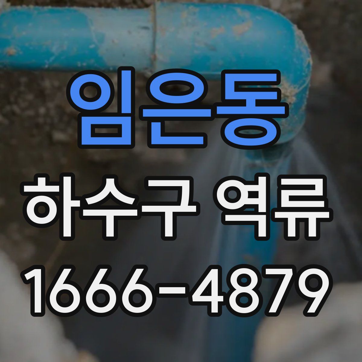 임은동 하수구 역류