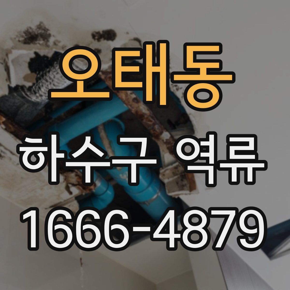 오태동 하수구 역류