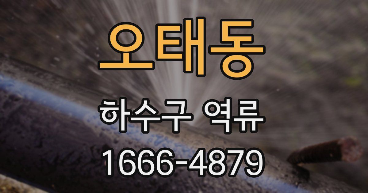 오태동 하수구 역류
