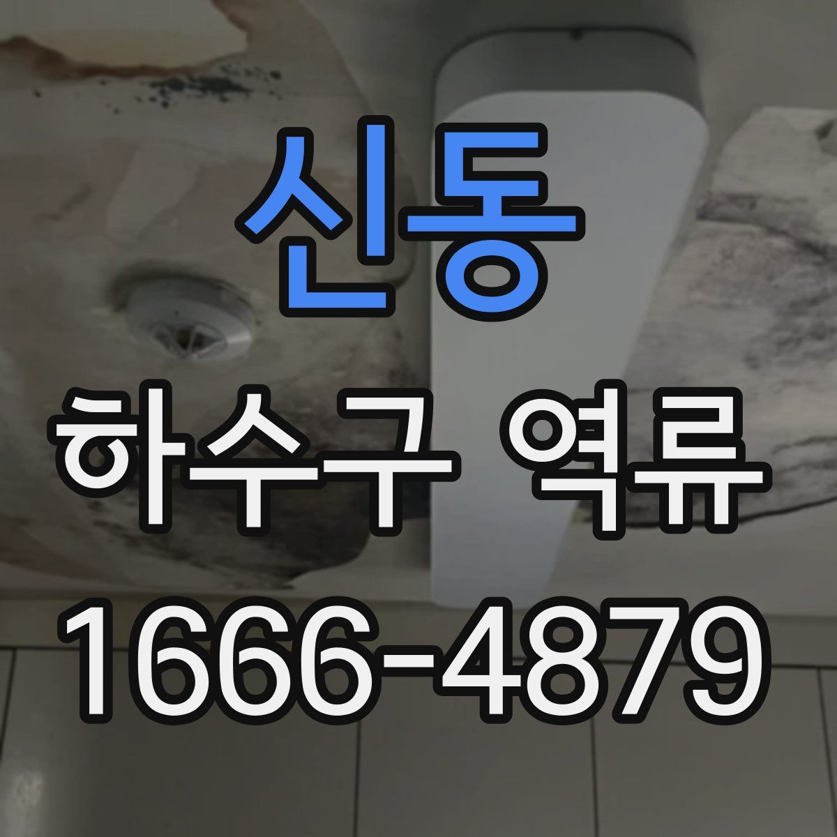 신동 하수구 역류