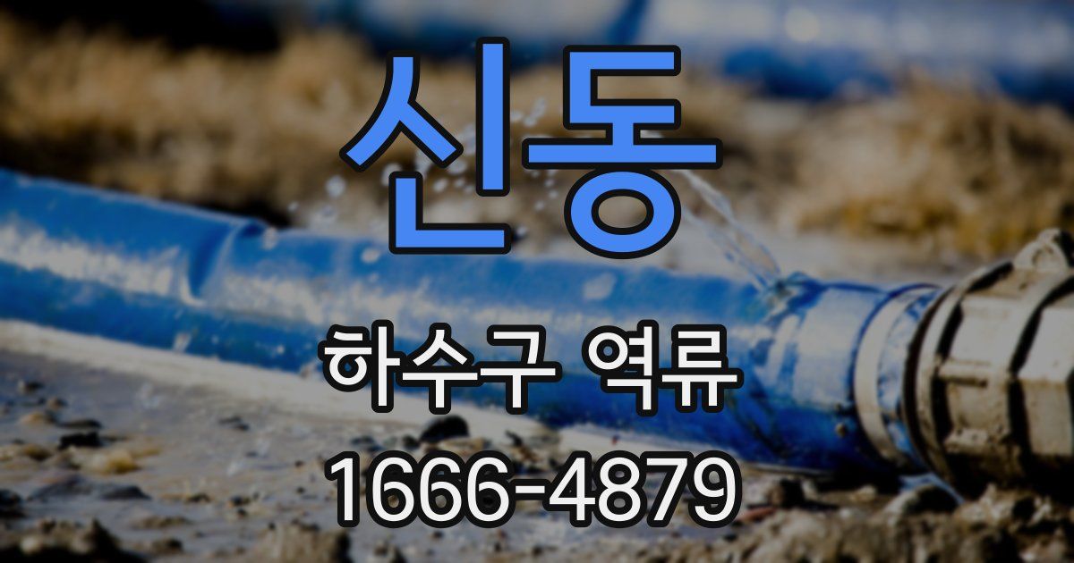 신동 하수구 역류