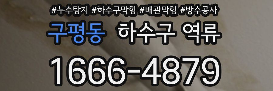 구평동 하수구 역류