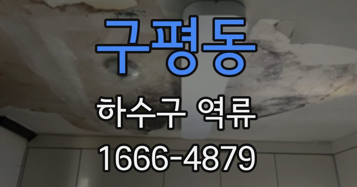 구평동 하수구 역류