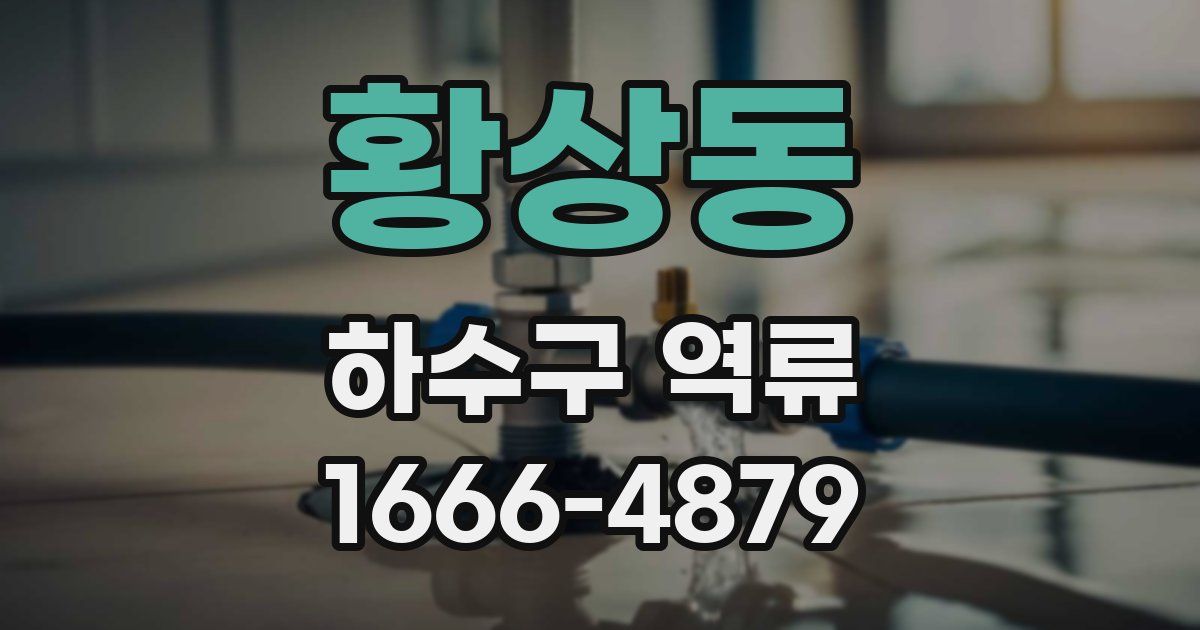 황상동 하수구 역류