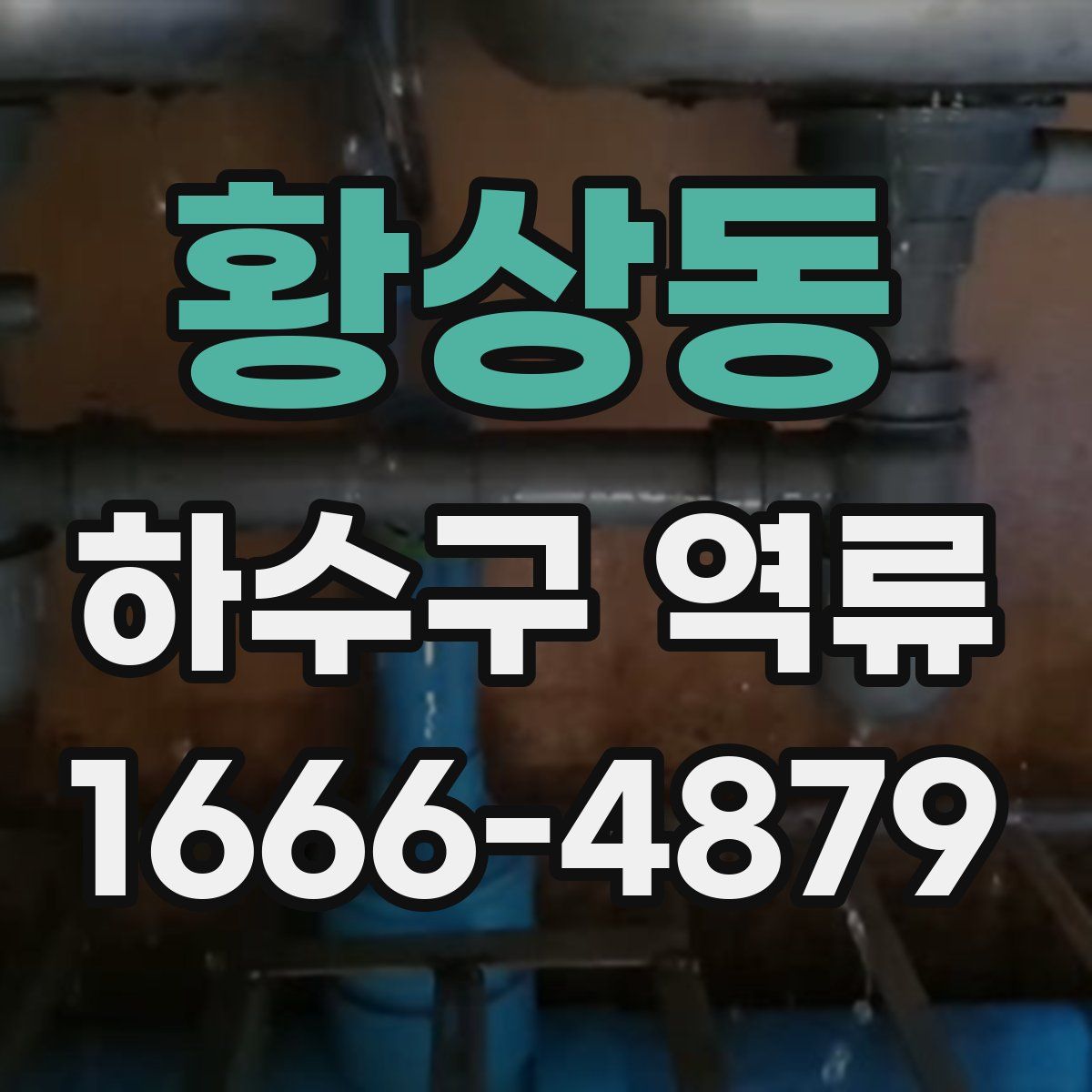 황상동 하수구 역류