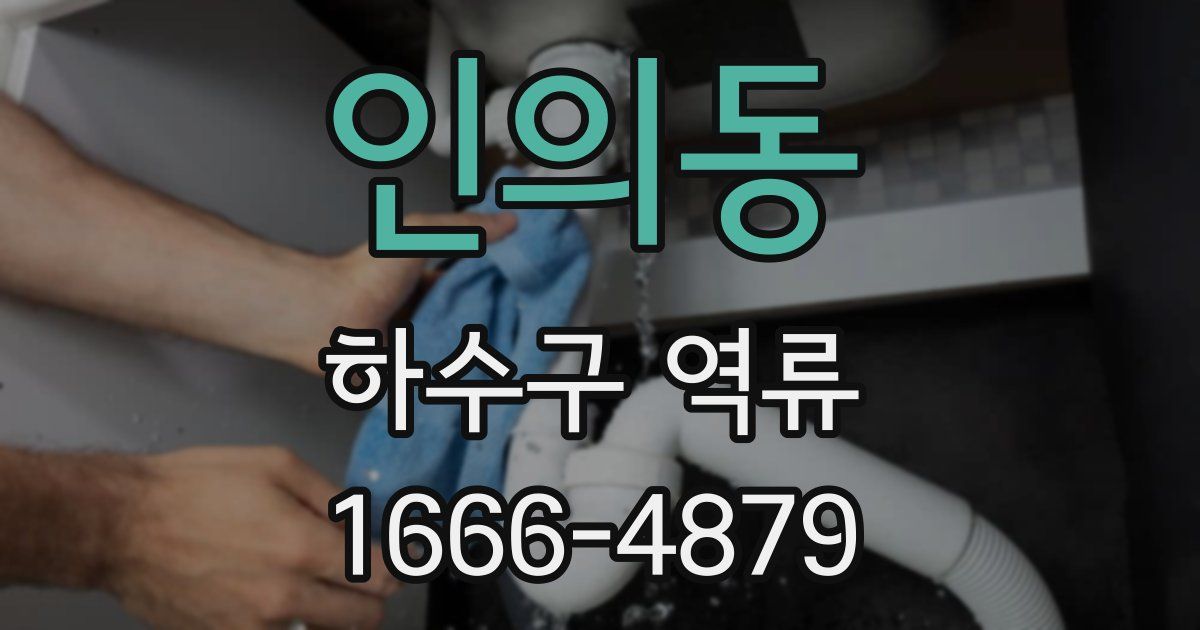 인의동 하수구 역류
