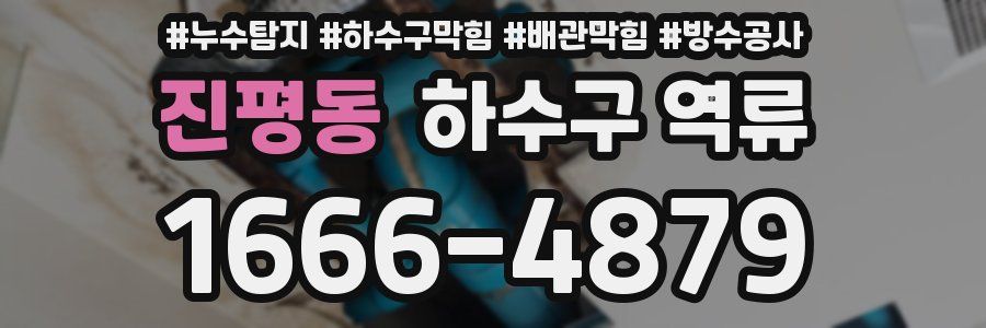 진평동 하수구 역류