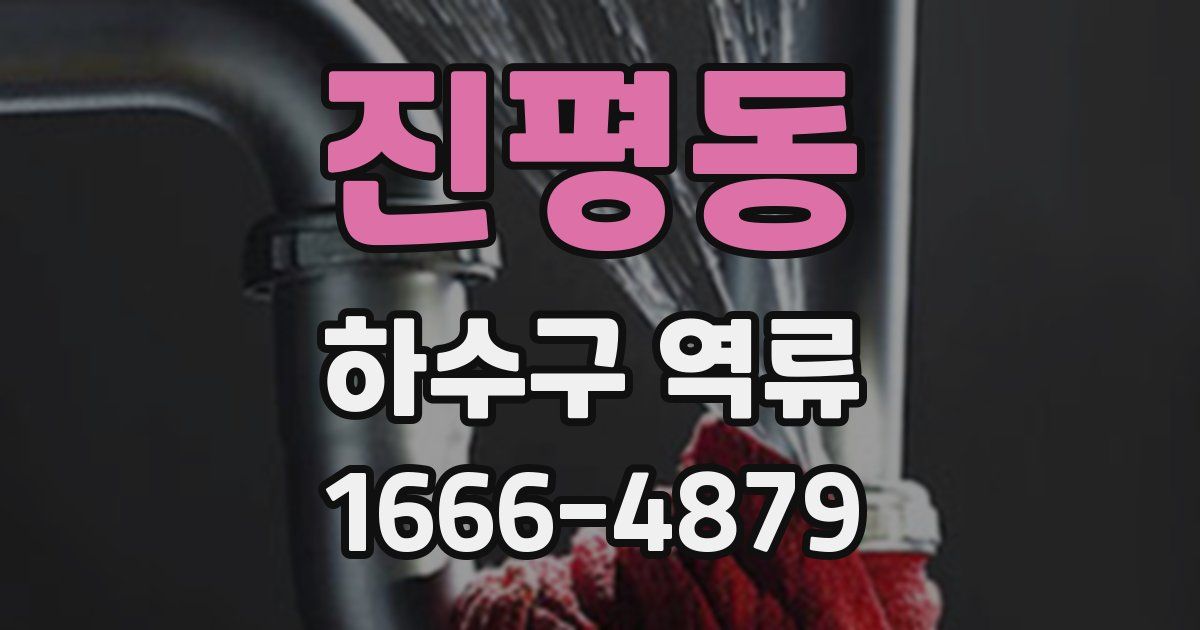 진평동 하수구 역류