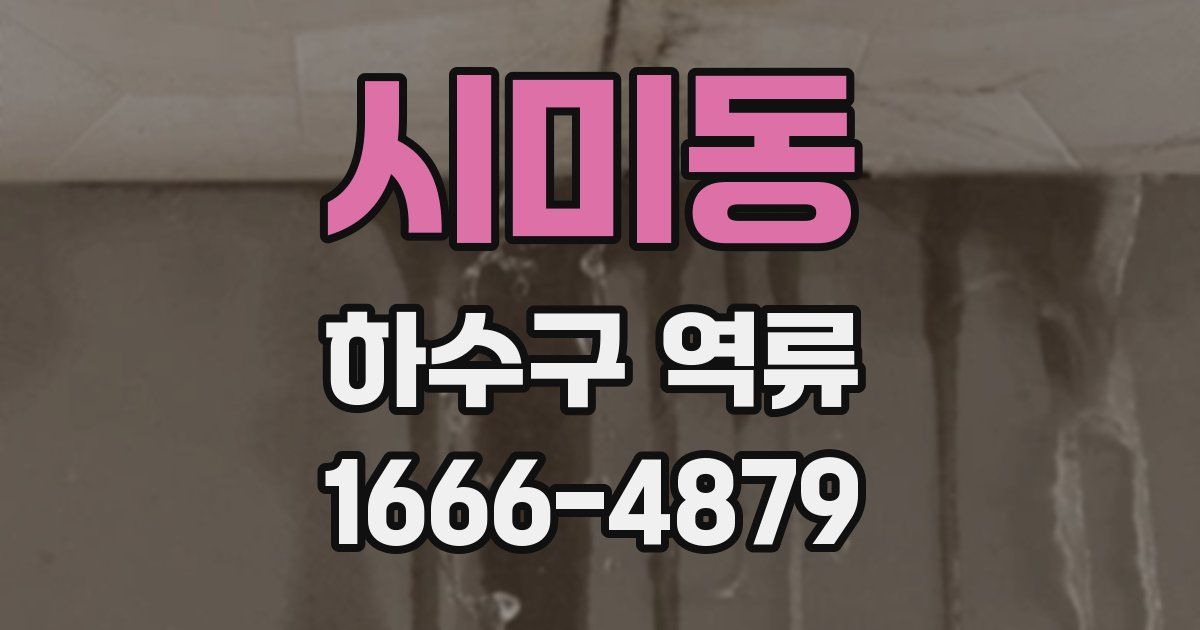 시미동 하수구 역류