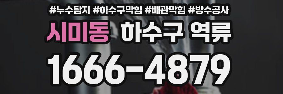 시미동 하수구 역류