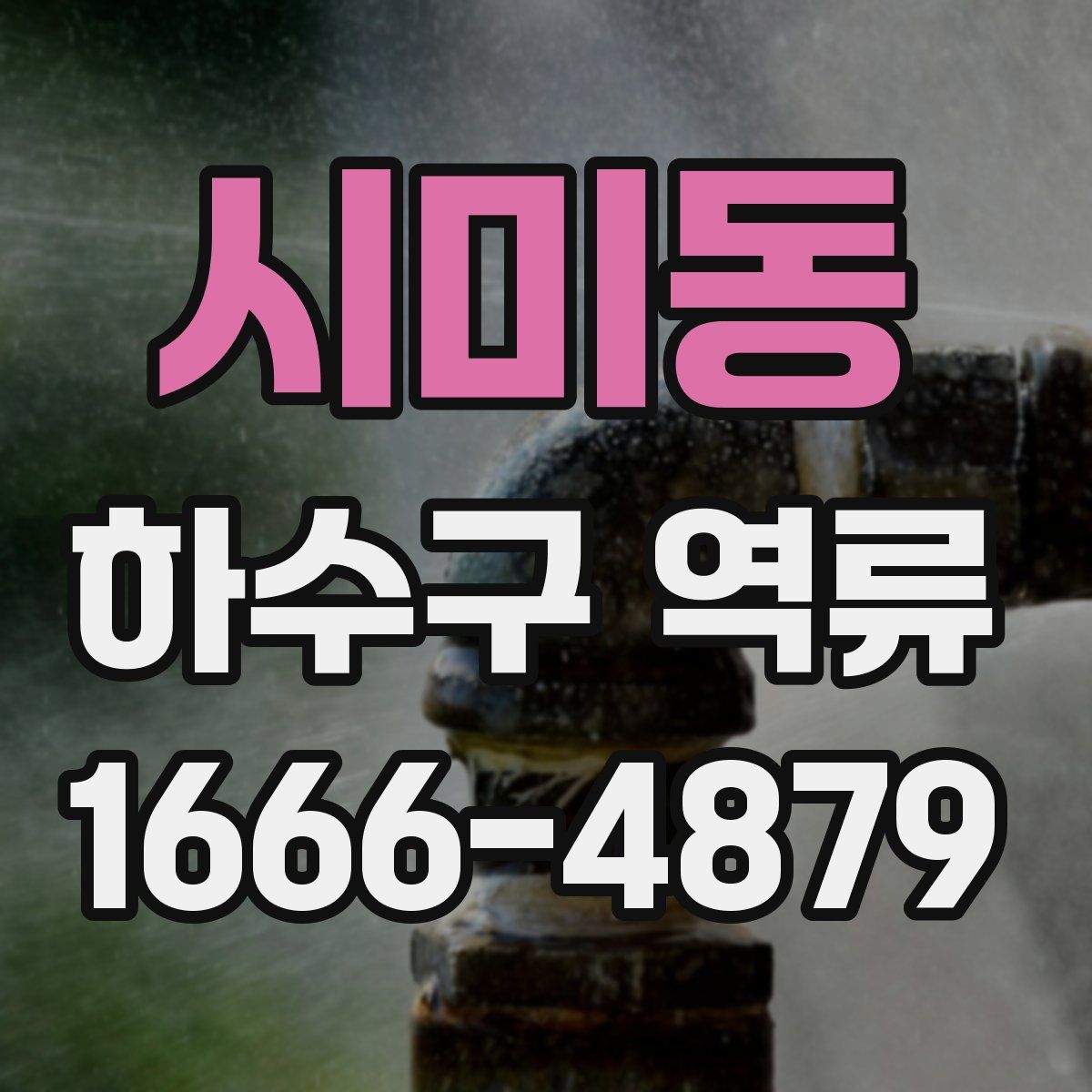 시미동 하수구 역류